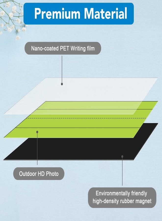 D-FantiX 12 Pack Magnetic Sentence Strips for Teachers, 12 x 3 Inch Magnetic Dry Erase Sentence Strips for Whiteboard, Reusable Teacher Supplies Learning Tools for Classroom Office(6 Colored, 6 White) - Image 3